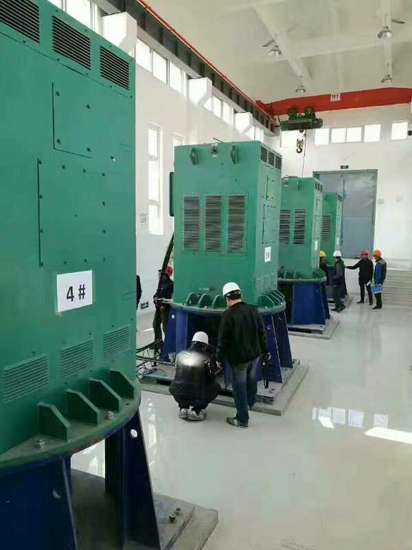 乌恰某污水处理厂使用我厂的立式高压电机安装现场